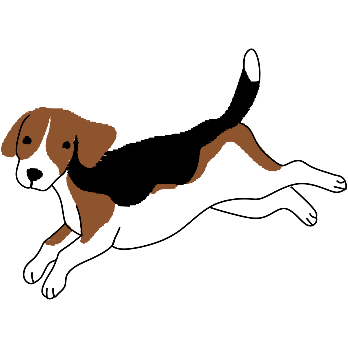 beagle