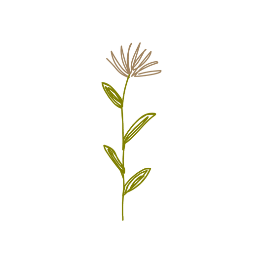 wildflower