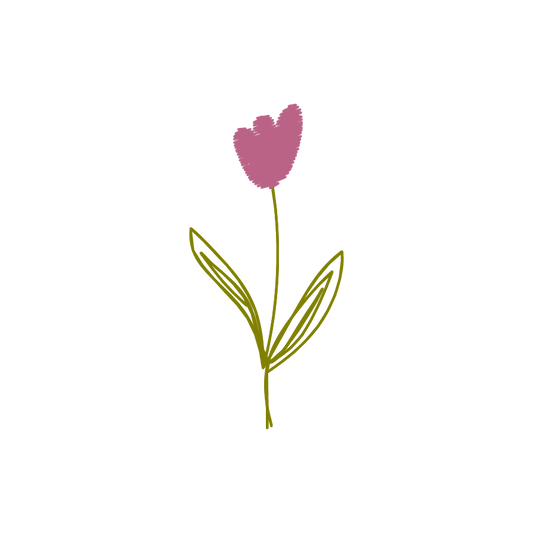 tulip