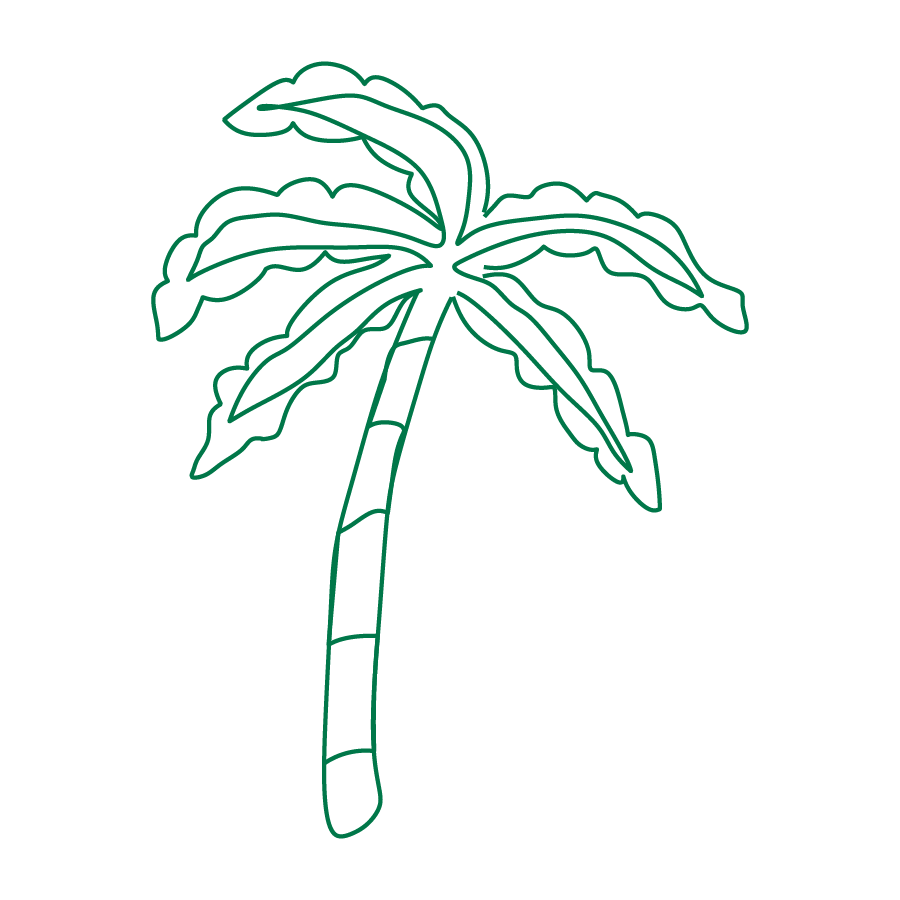 palm tree