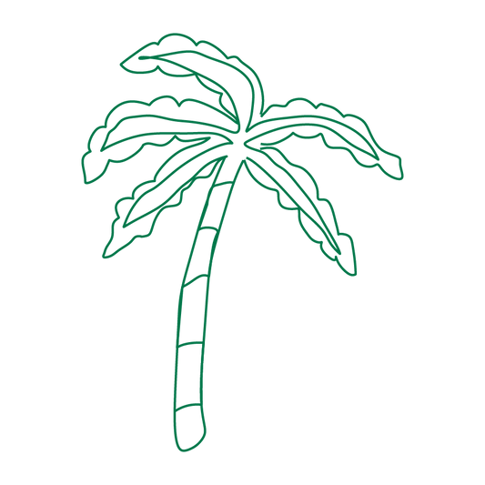 palm tree