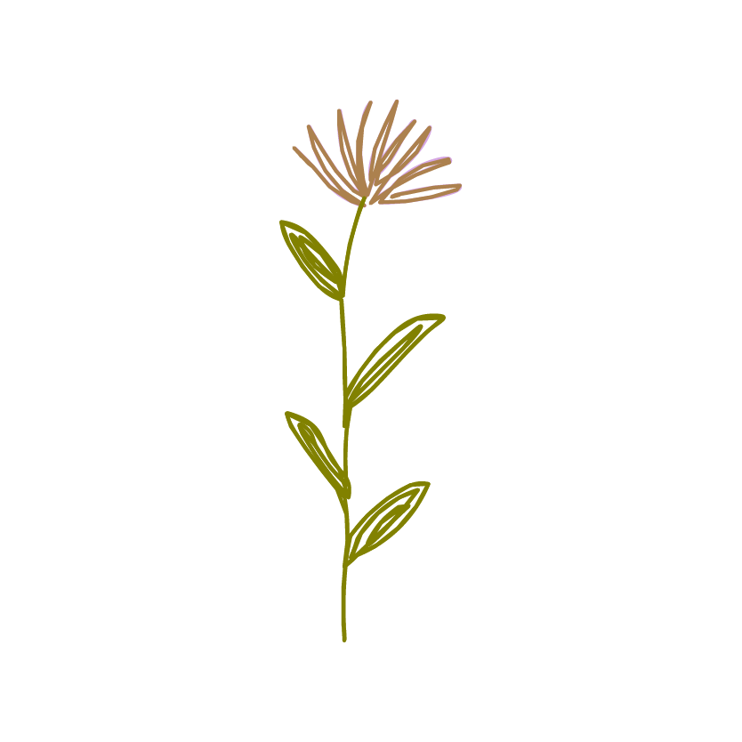 Wildflower