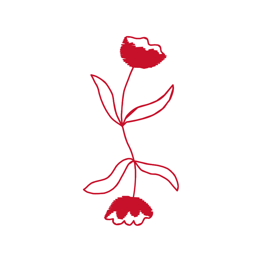 Twin Flowers