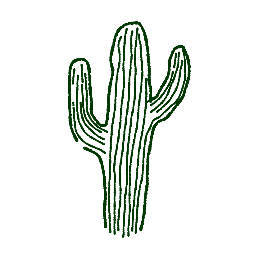 Cactus