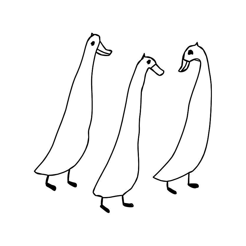 Ducks