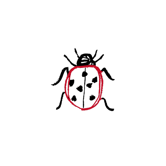 Lady Bug